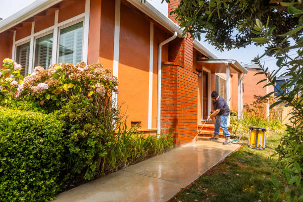 Best Deck Cleaning Services  in Payson, IL